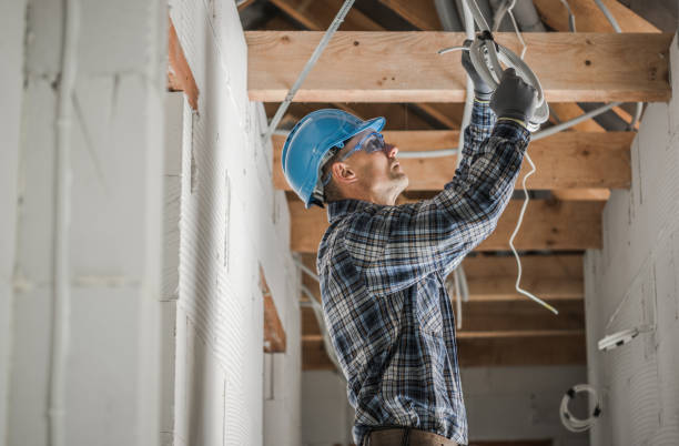 Best Residential Electrician Services  in Clawson, MI